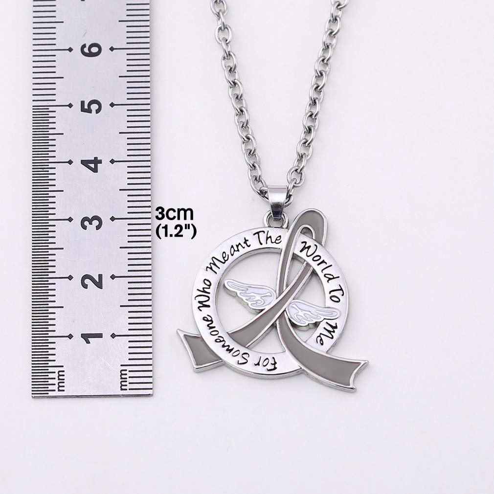 Meant the World to Me Awareness Ribbon Necklace - Grey