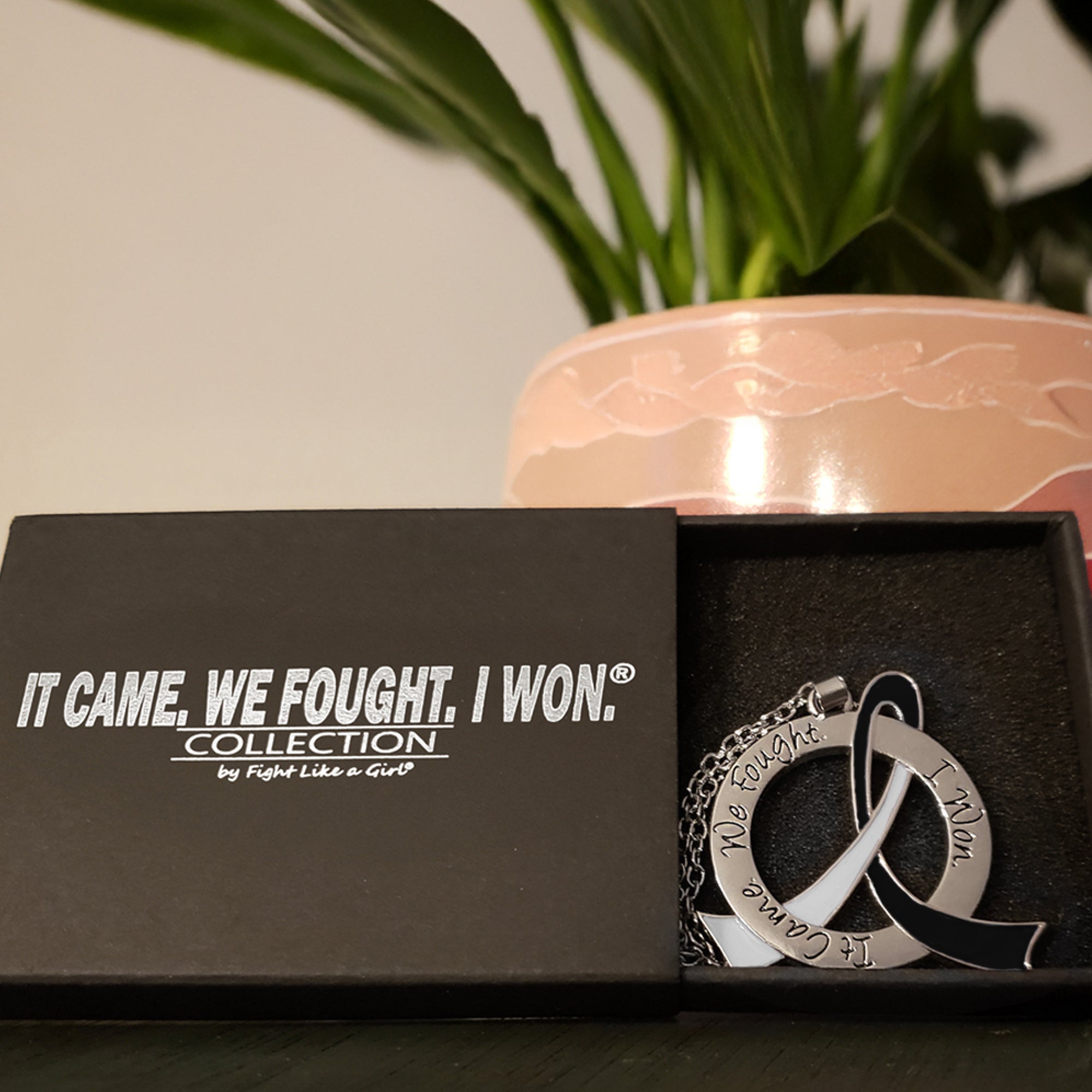 It Came We Fought I Won Awareness Ribbon Necklace - Black/White
