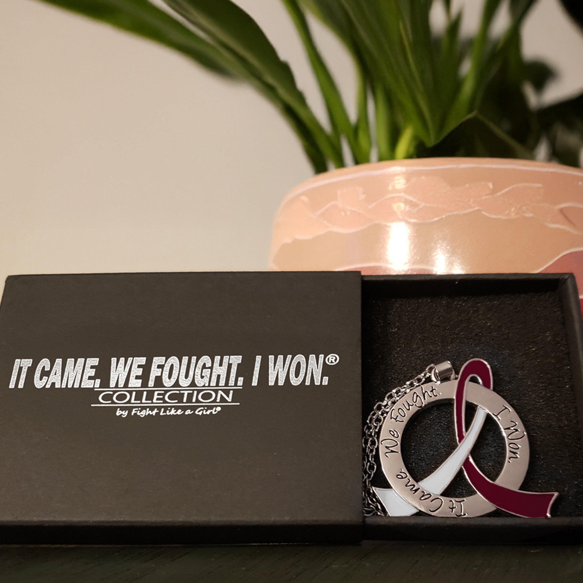 It Came We Fought I Won Awareness Ribbon Necklace - Burgundy/White