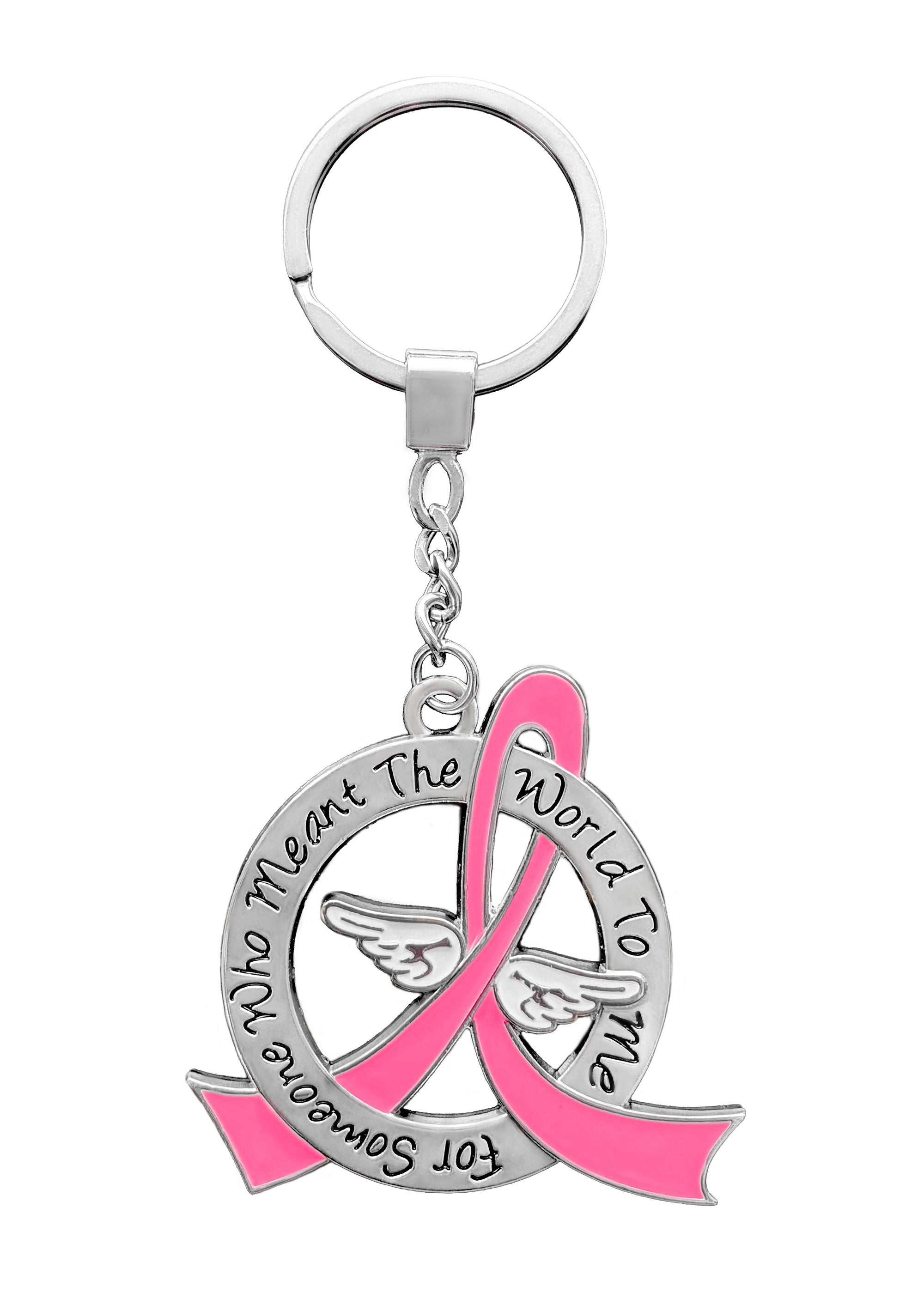 Meant the World to Me Awareness Ribbon Keychain - Pink