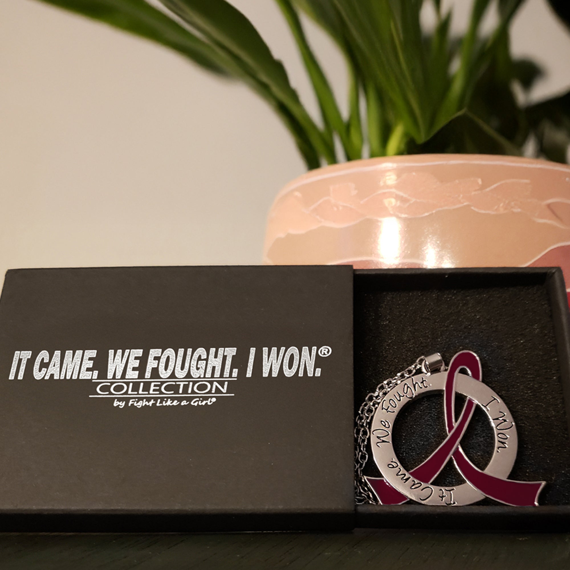 It Came We Fought I Won Awareness Ribbon Necklace - Burgundy