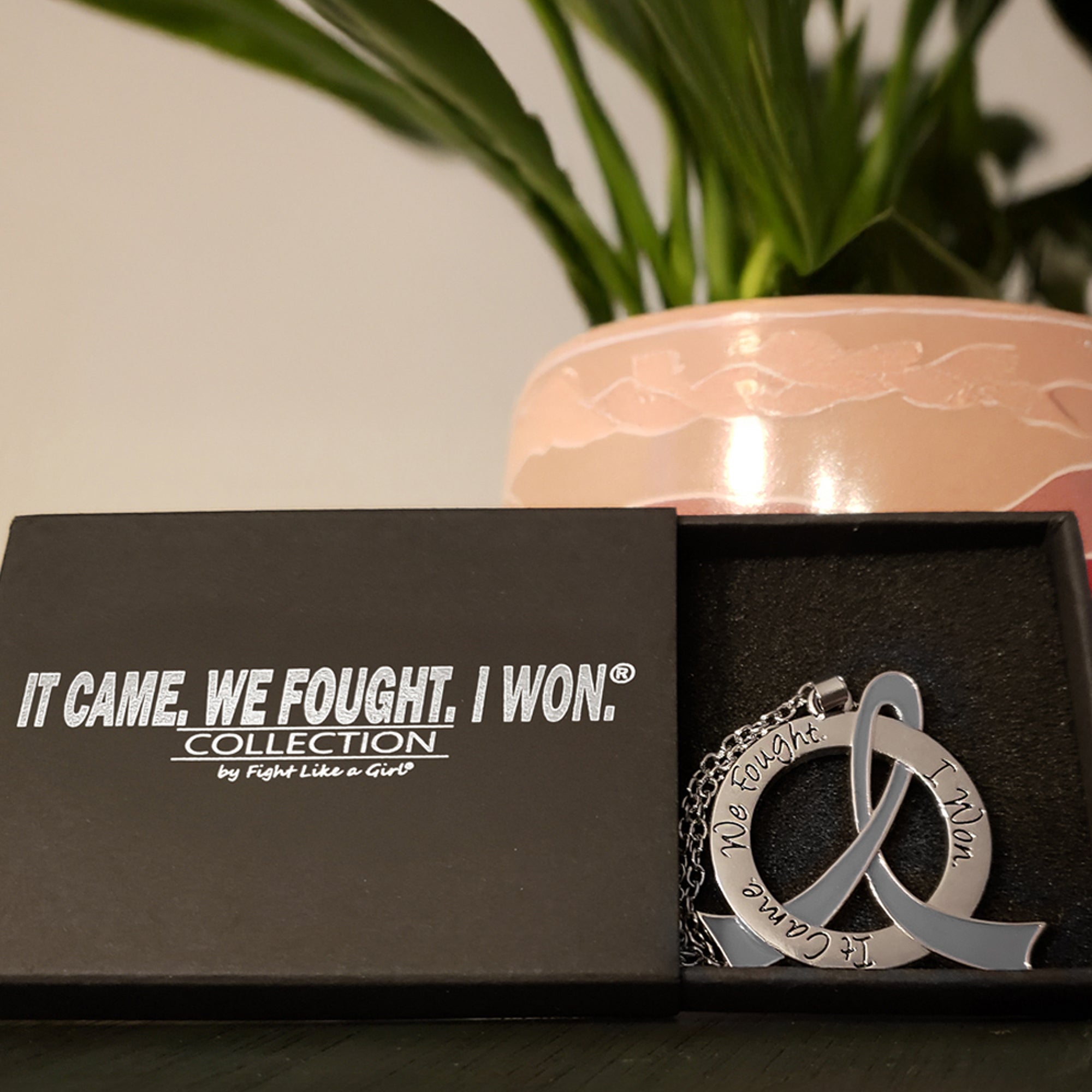 It Came We Fought I Won Awareness Ribbon Necklace - Grey