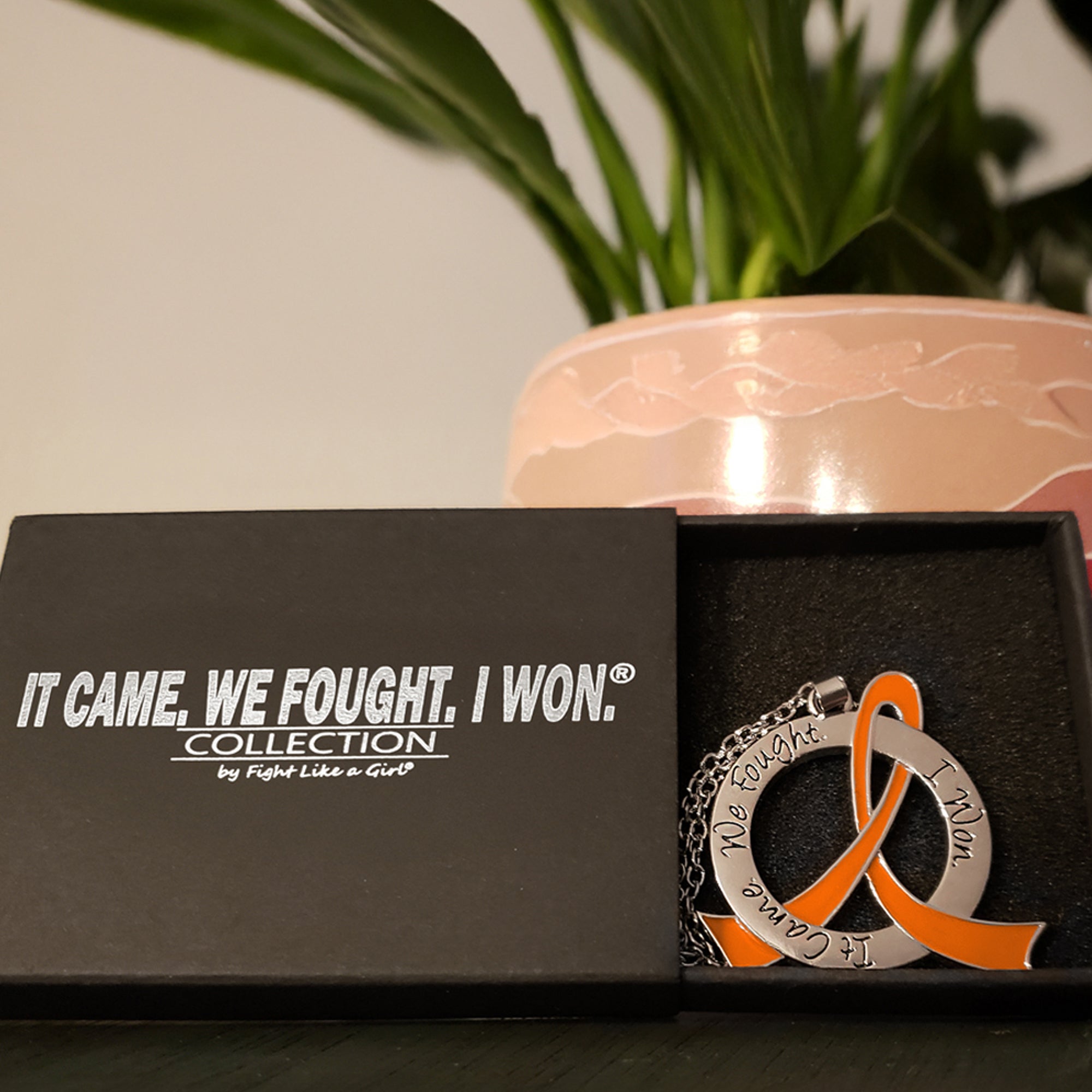 It Came We Fought I Won Awareness Ribbon Necklace - Orange