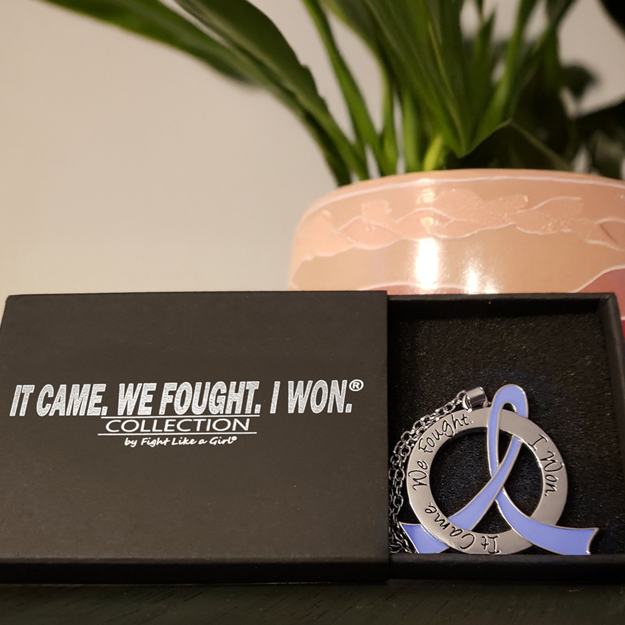 It Came We Fought I Won Awareness Ribbon Necklace - Periwinkle