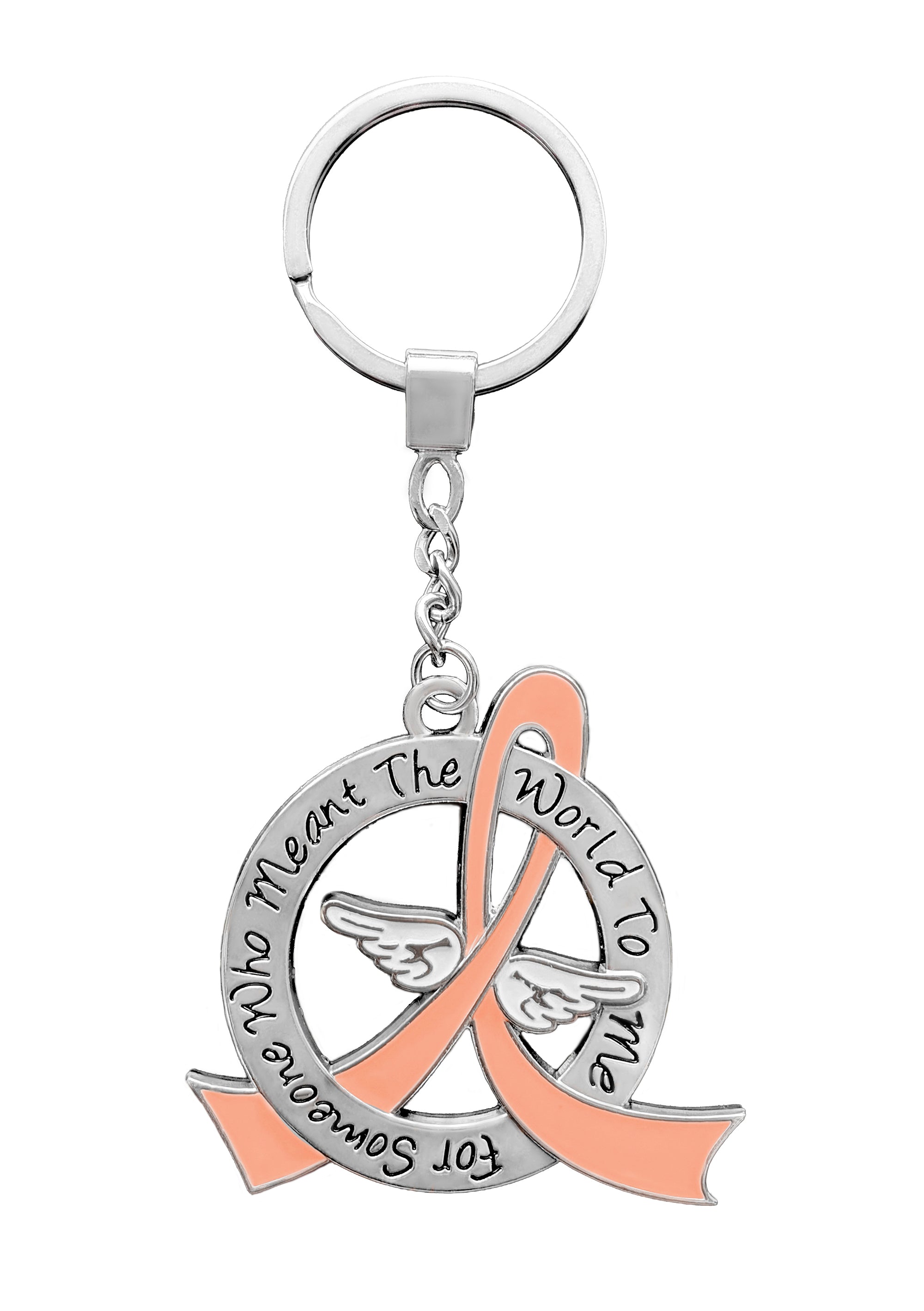Meant the World to Me Awareness Ribbon Keychain - Peach