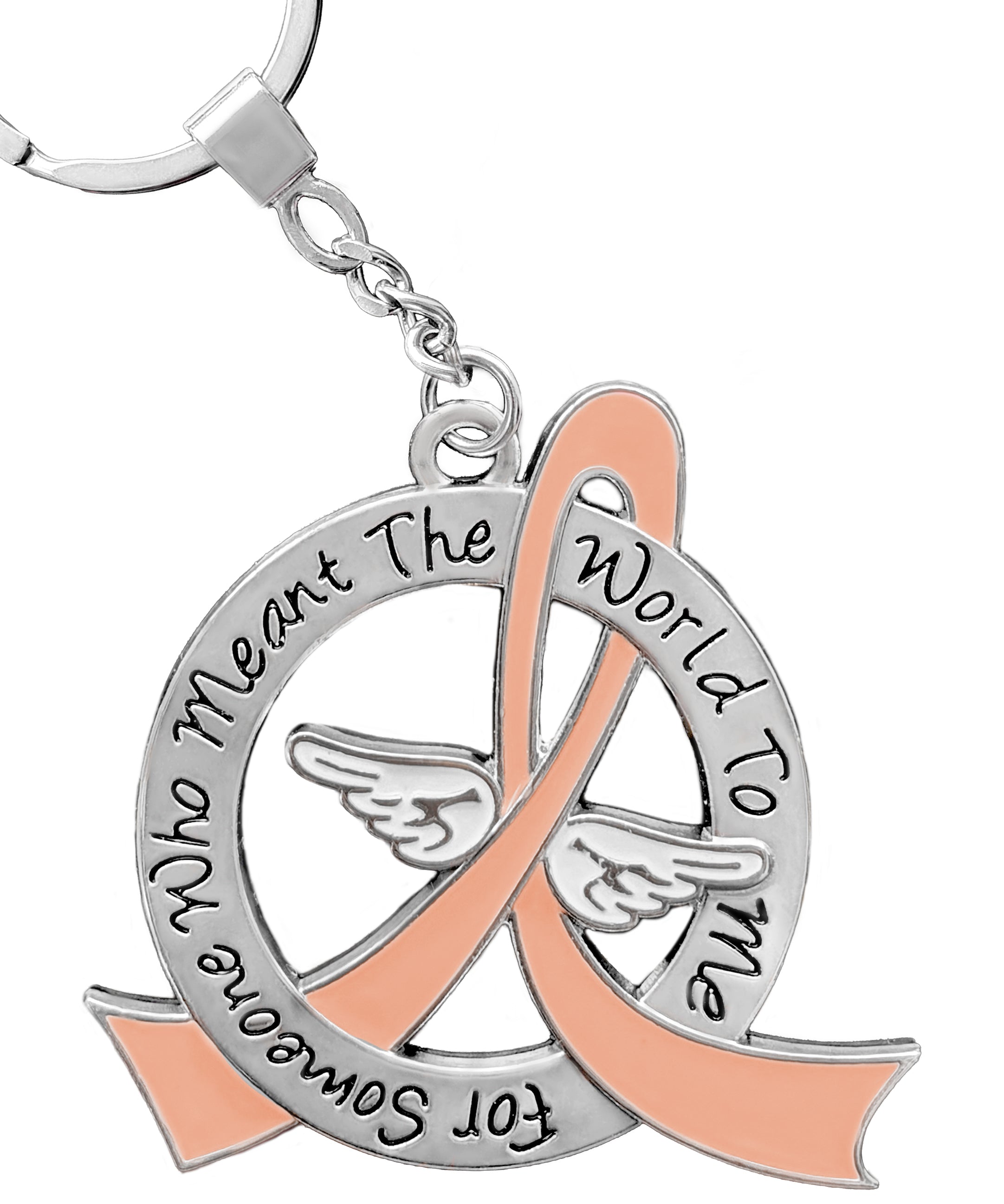 Meant the World to Me Awareness Ribbon Keychain - Peach