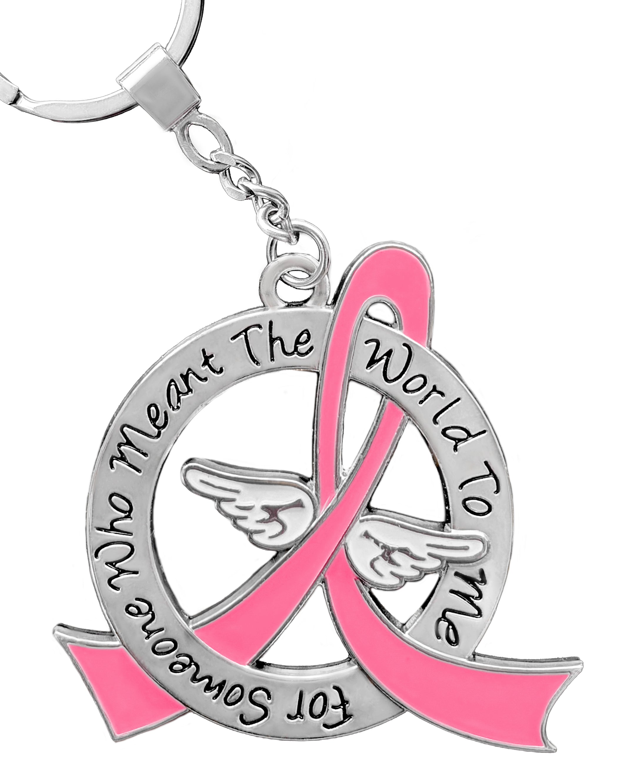 Meant the World to Me Awareness Ribbon Keychain - Pink