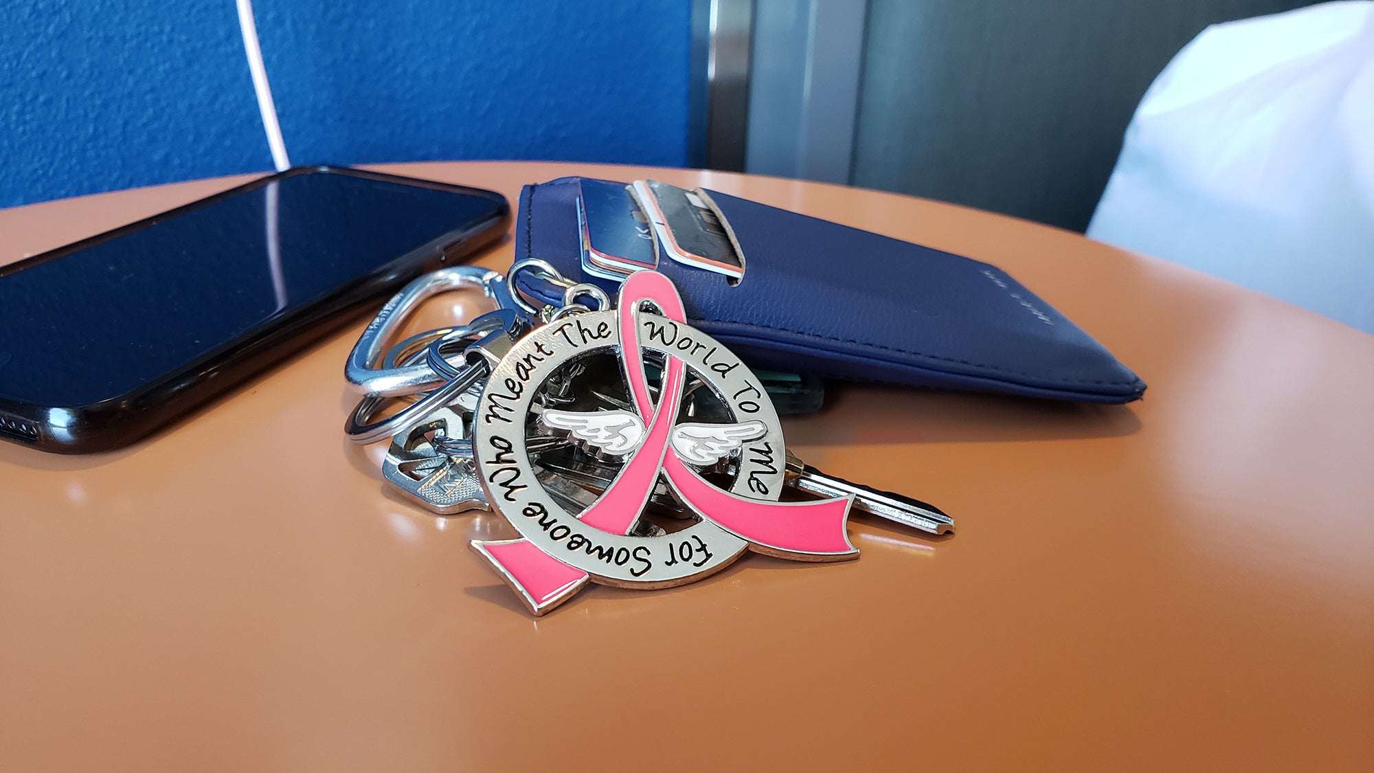 Meant the World to Me Awareness Ribbon Keychain - Pink